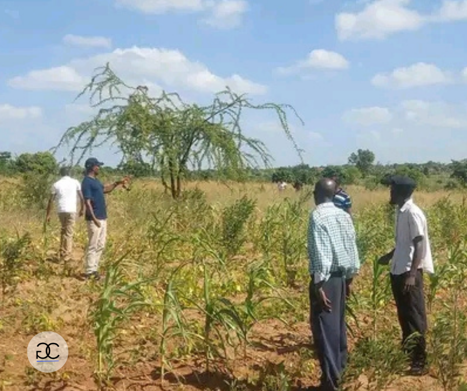 Matuu Kivandani