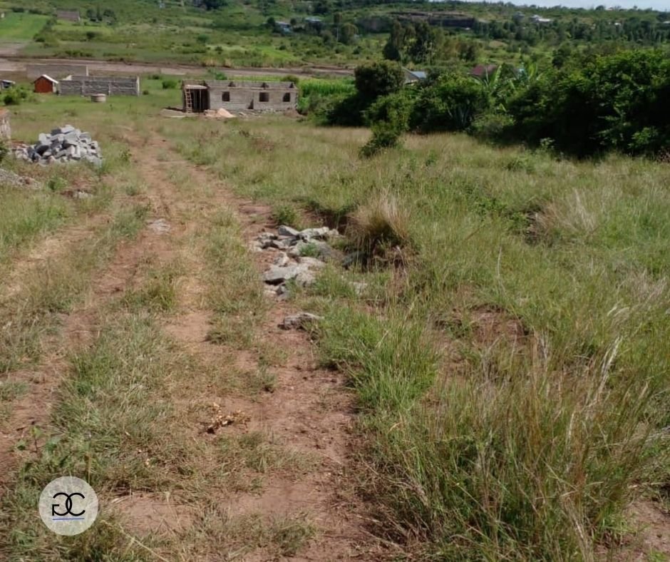 Thika Muthaara